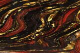 Polished Tiger Iron Stromatolite - ( Billion Years) #95889-1